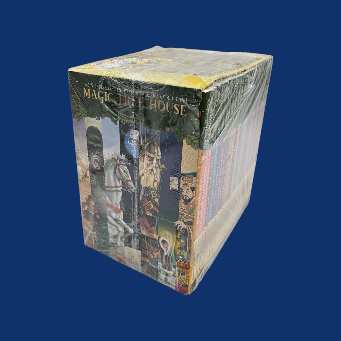 Set 4B: Magic Tree House A Library of Books 1-28 – Mary Pope Osborne Collection
