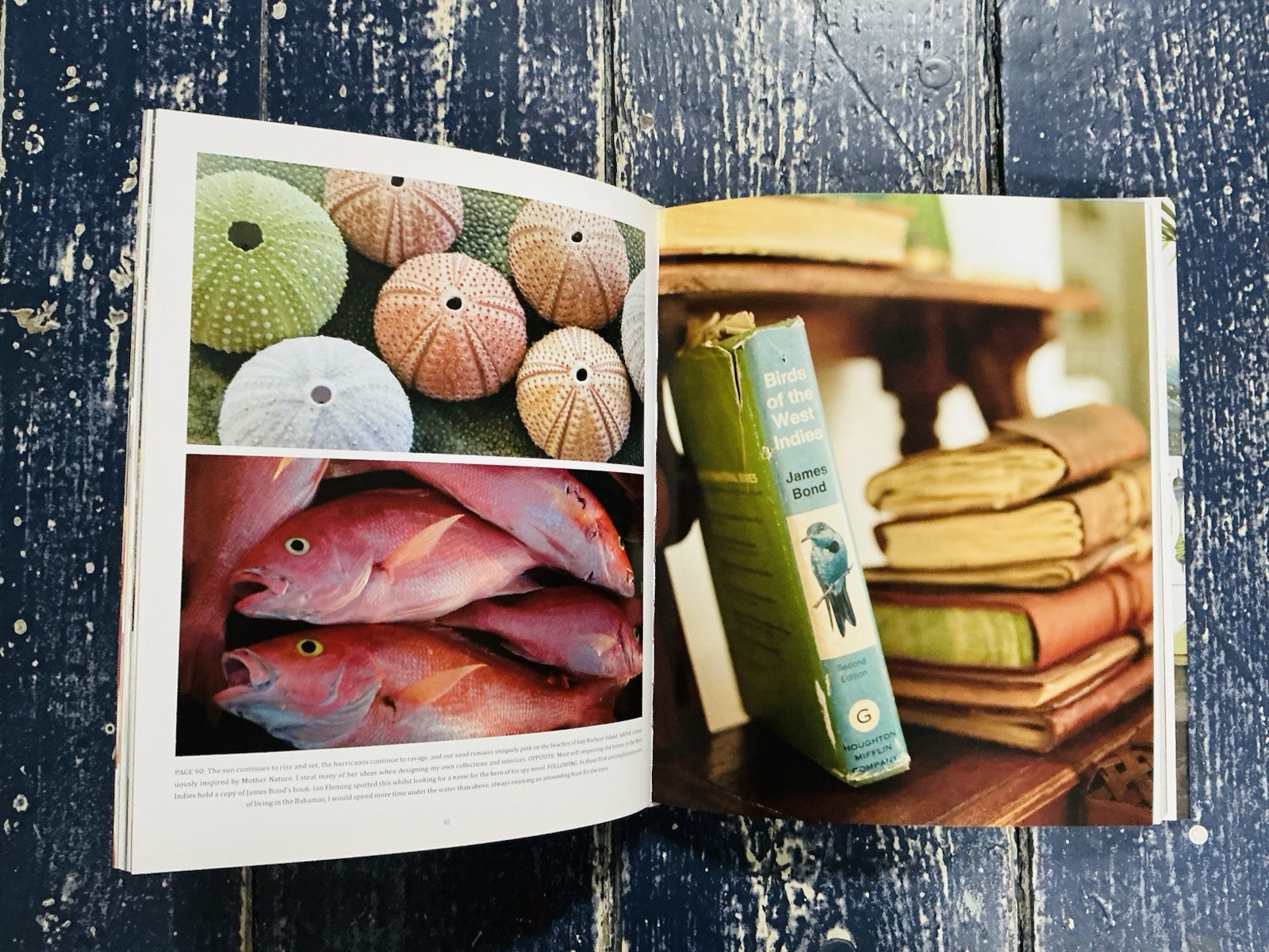 India Hicks Island Style 2015 HBDJ RARE SIGNED 1ST HOME & GARDEN INTERIOR DESIGN