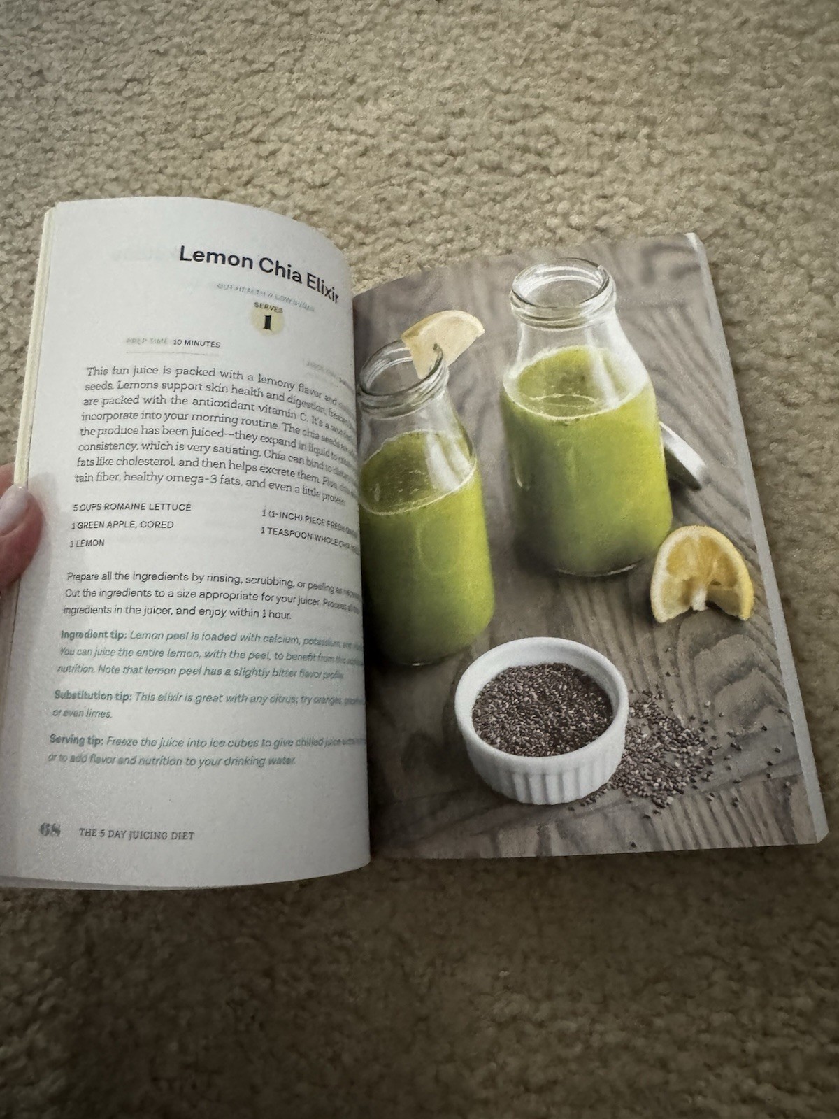 The 5 Day Juicing Diet A Plant Based Program To Achieve Lasting Weight Loss