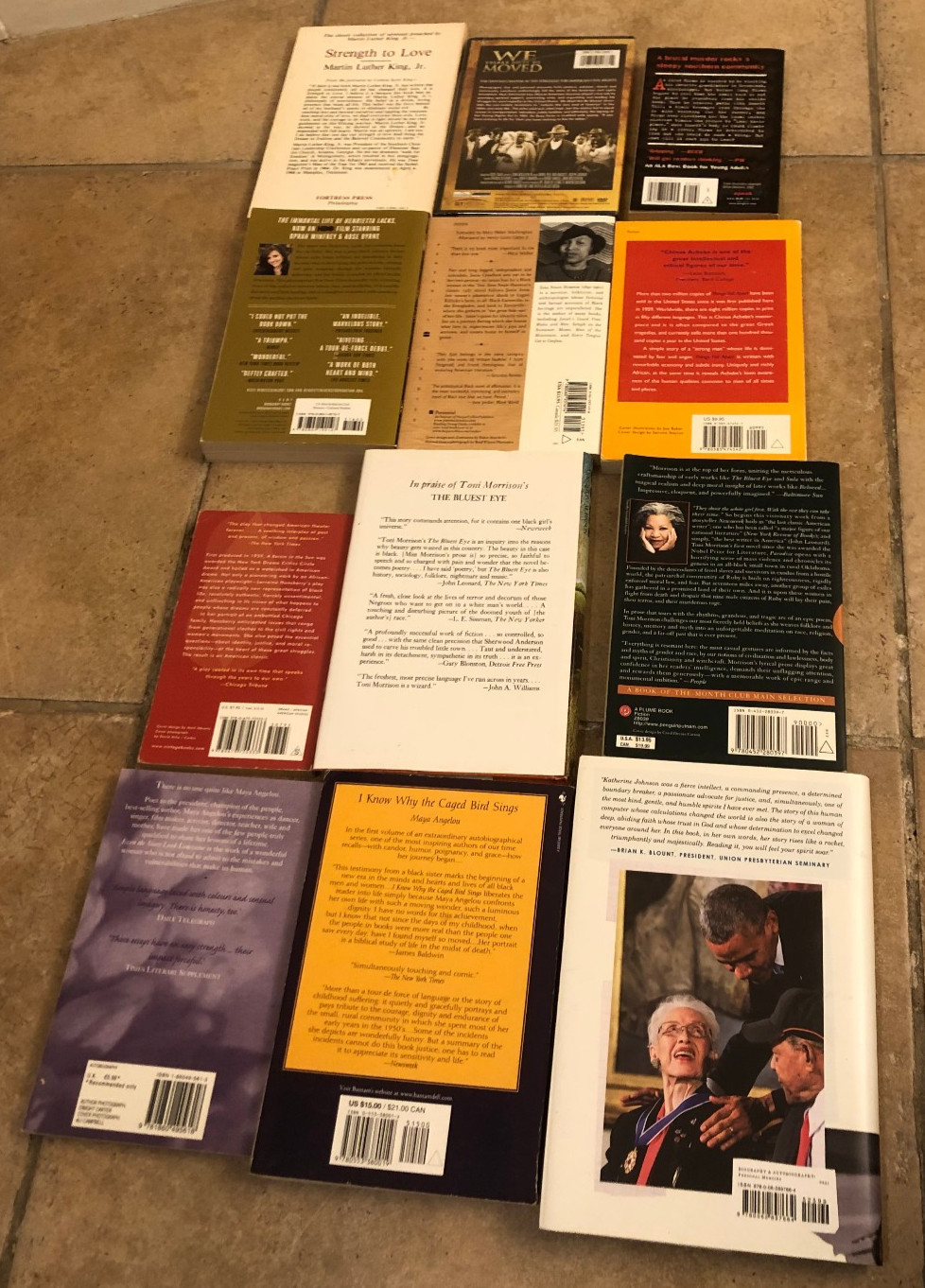 Lot of 11 African American Studies Books + DVD We Shall not be Moved NIP~ MLK ++