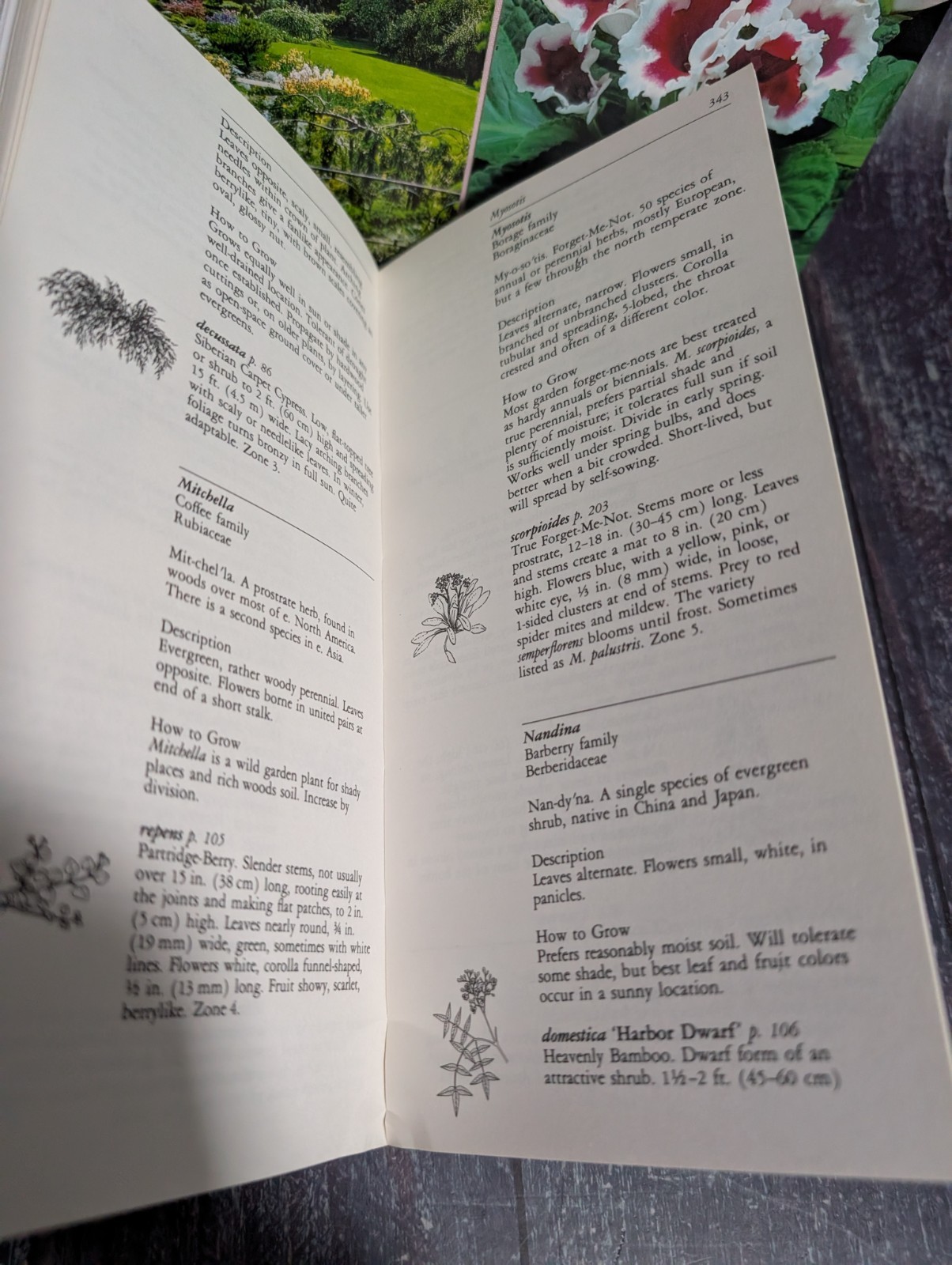 Taylor’s Guide To Book Lot: Garden Design, Ground Covers, Houseplants