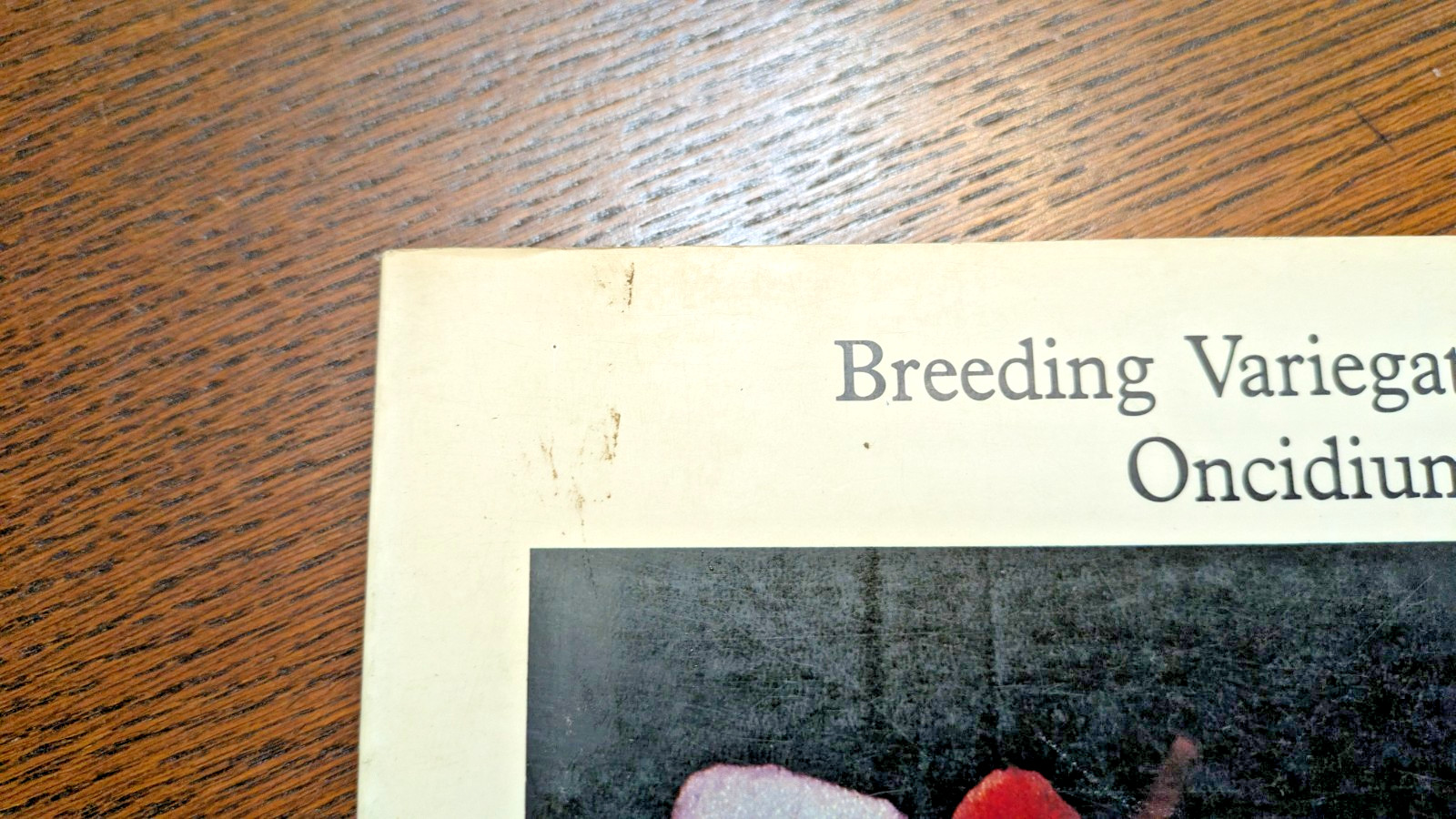 Creating/Growing Orchids – 4 TPB by May A. Moir/W. W. Moir and Mary Noble