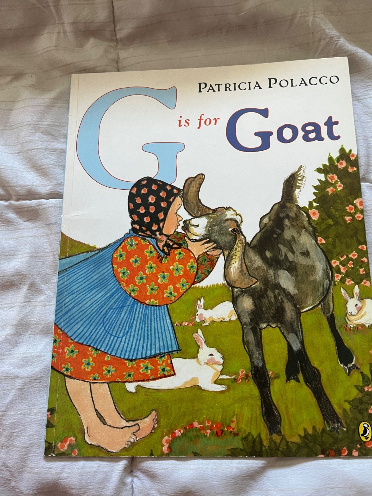 Patricia Polacco book collection – 24 books. – hard and soft back- Make an offer
