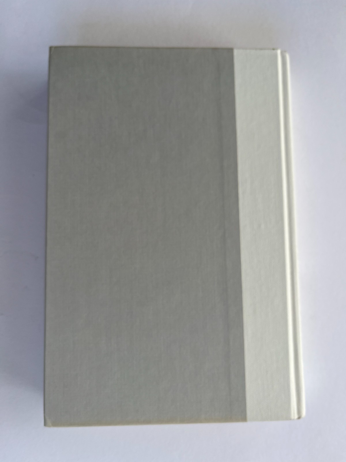 White Noise by DON DELILLO, ~ 1st First Edition 1985, hardcover Viking
