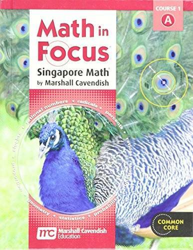 Math in Focus: Singapore Math Student Edition, Grade 6, Volume A – GOOD