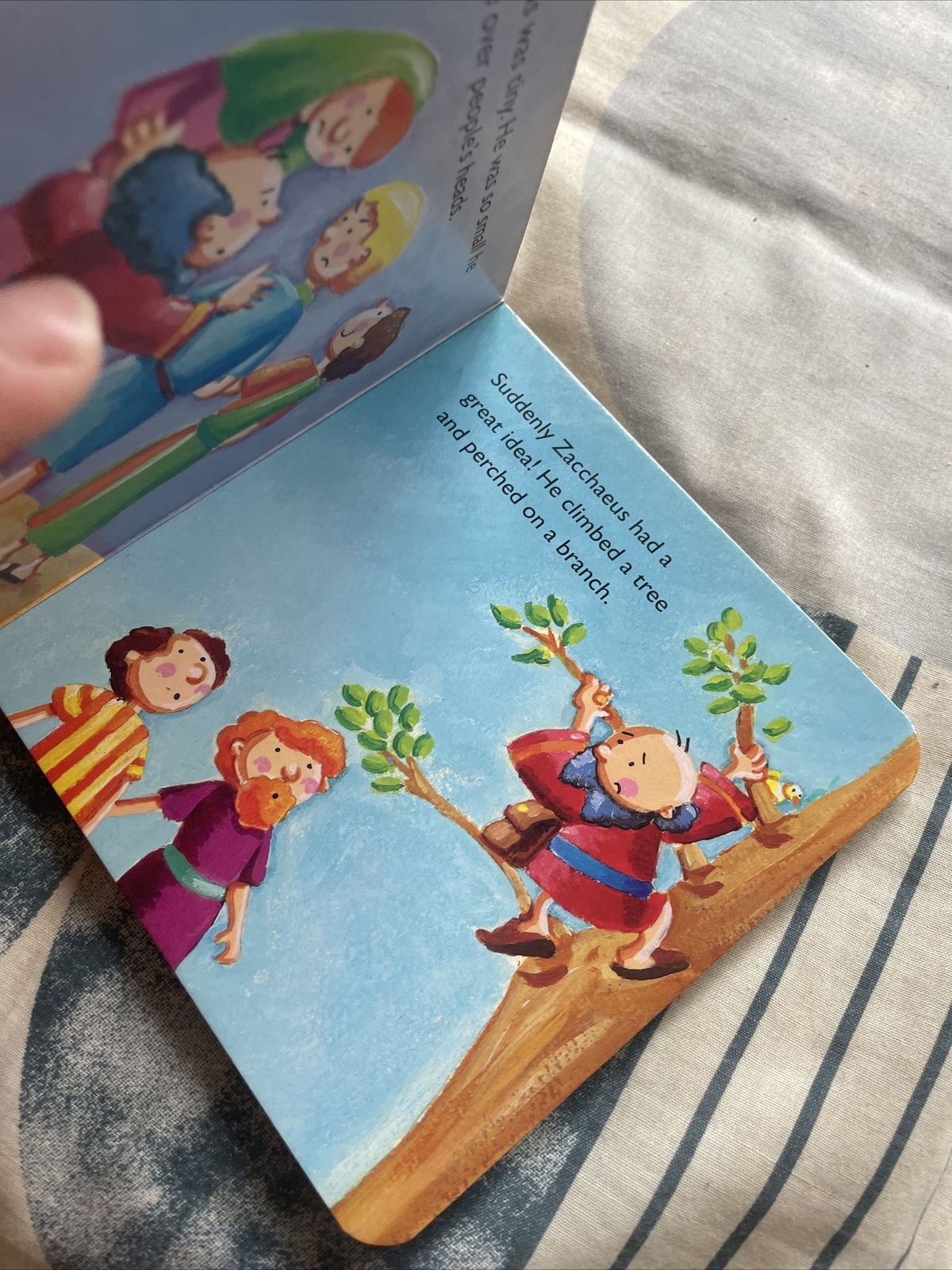 TINY READER. ZACCHAEUS. BOARDED. 14 BY 14 CM. 9781859858813