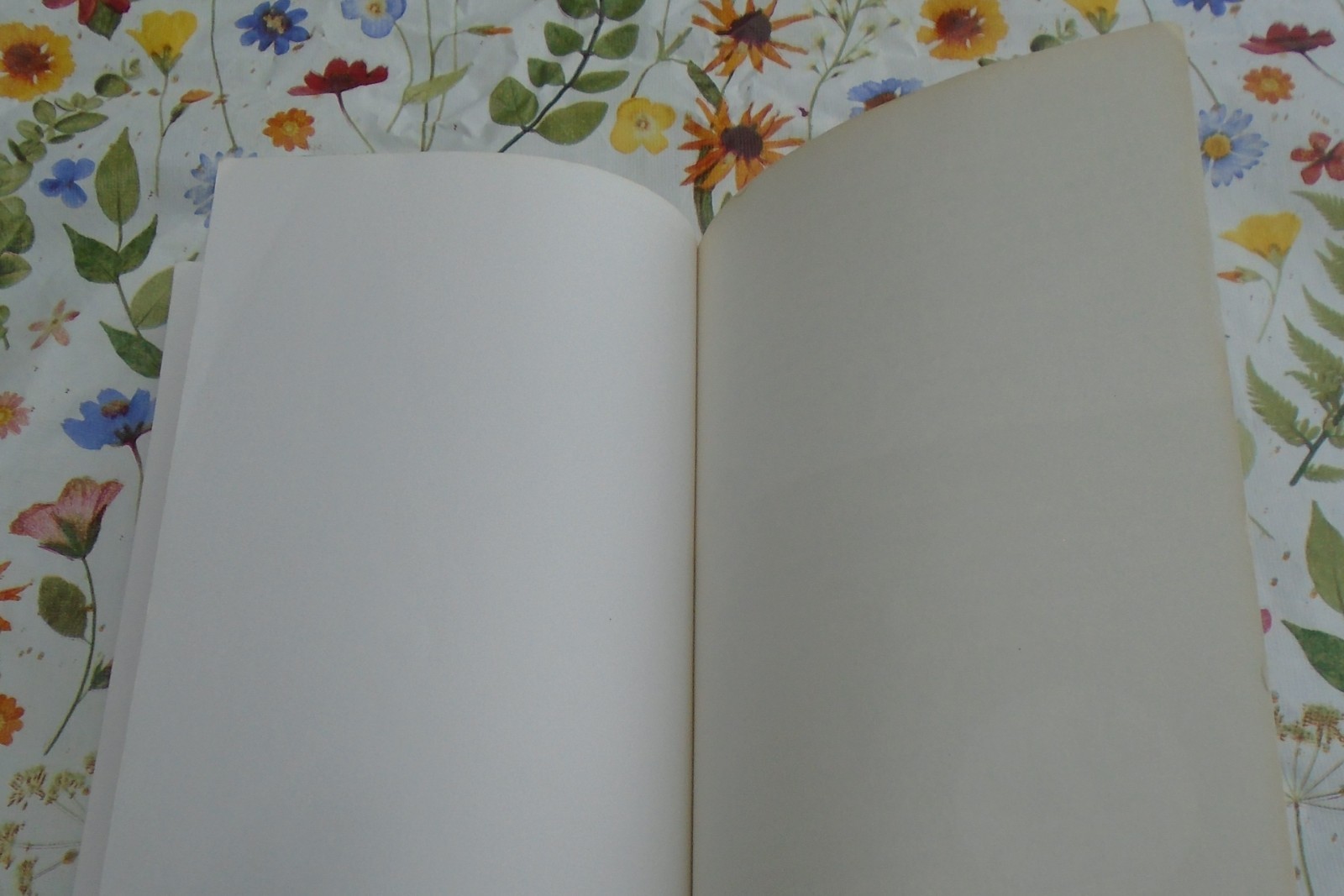 Body Clutter By Marla Cilley and Leanne Ely SIGNED Paperback