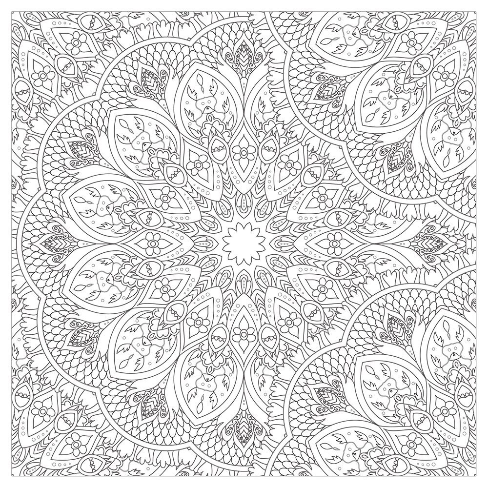 Vive Le Color! India (Adult Coloring Book): Color In; De-stress (72 Tear-out…
