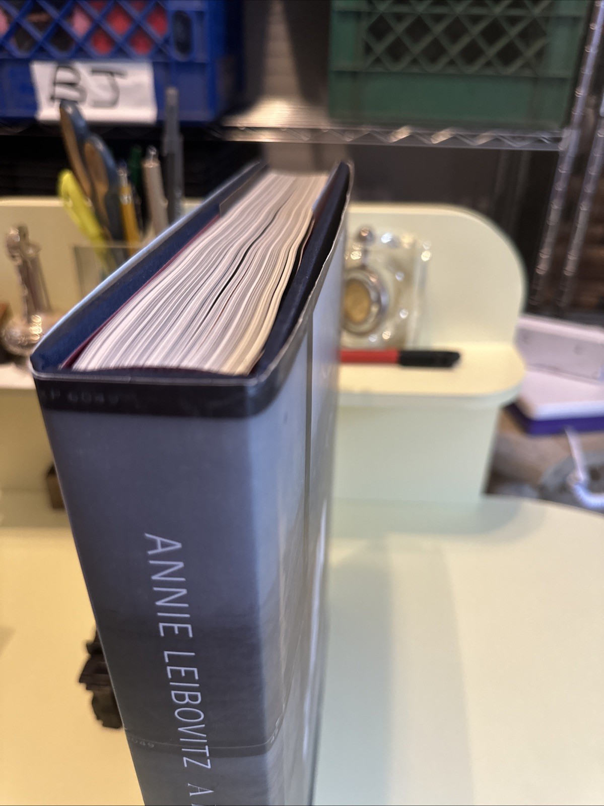 ANNIE LEIBOVITZ A PHOTOGRAPHERS LIFE 1990-2005 HC COLLECTIBLE TABLETOP BOOK 01