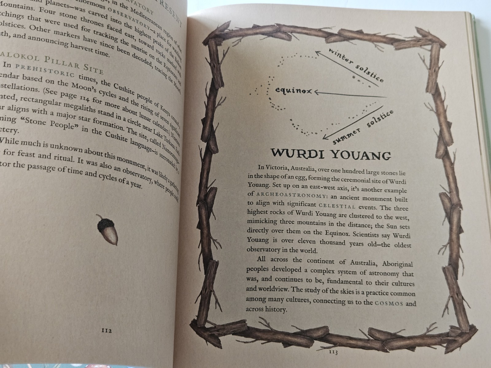 The Wheel of the Year An Illustrated Guide to Nature’s Rhythms Hardcover VGC