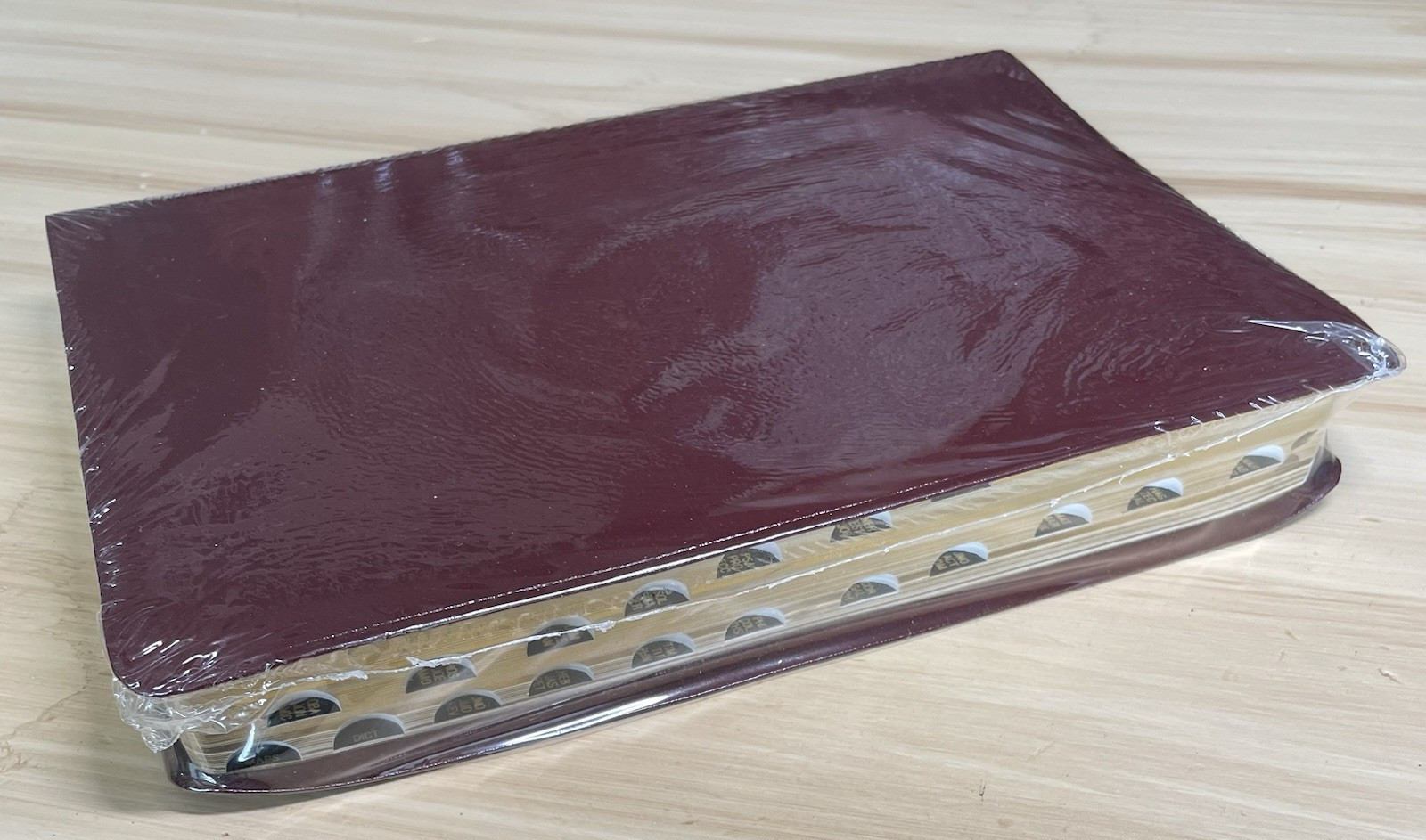 The Promise Holy Bible Study Edition 3595BG CEV Burgandy Bonded Leather New