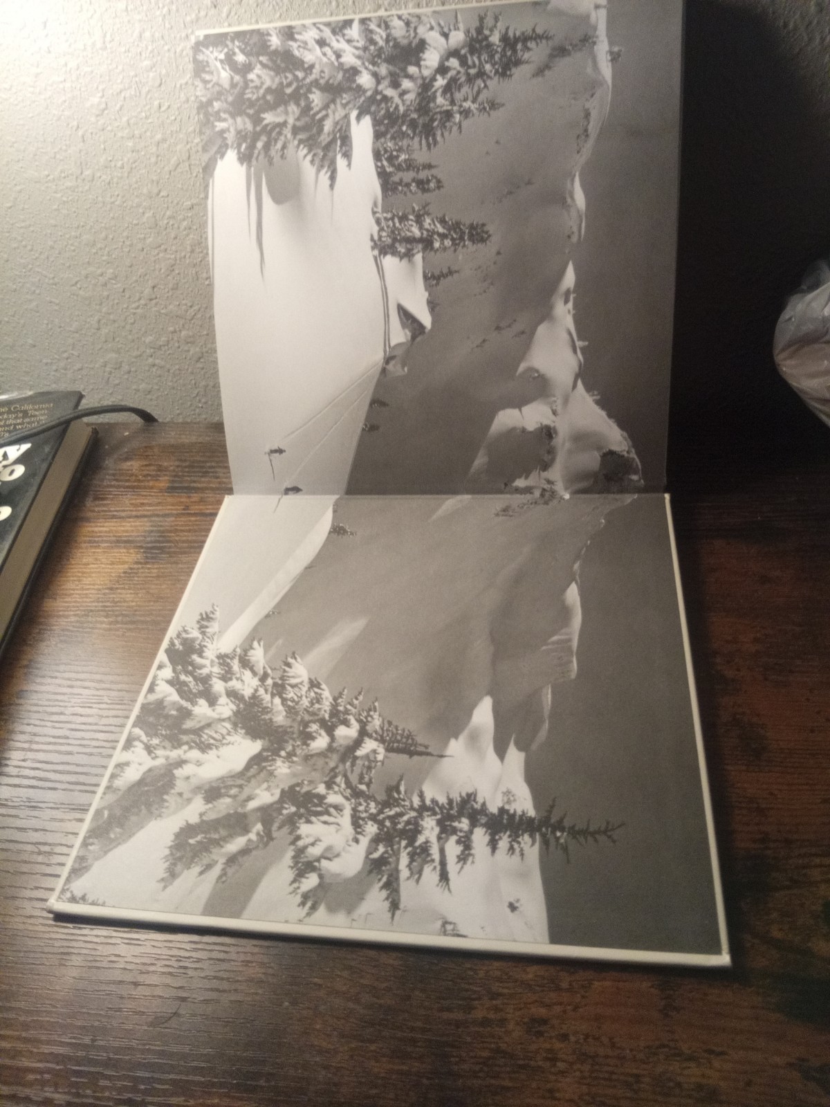 Vintage Skiing Book By Ray Atkeson, 1st Ed