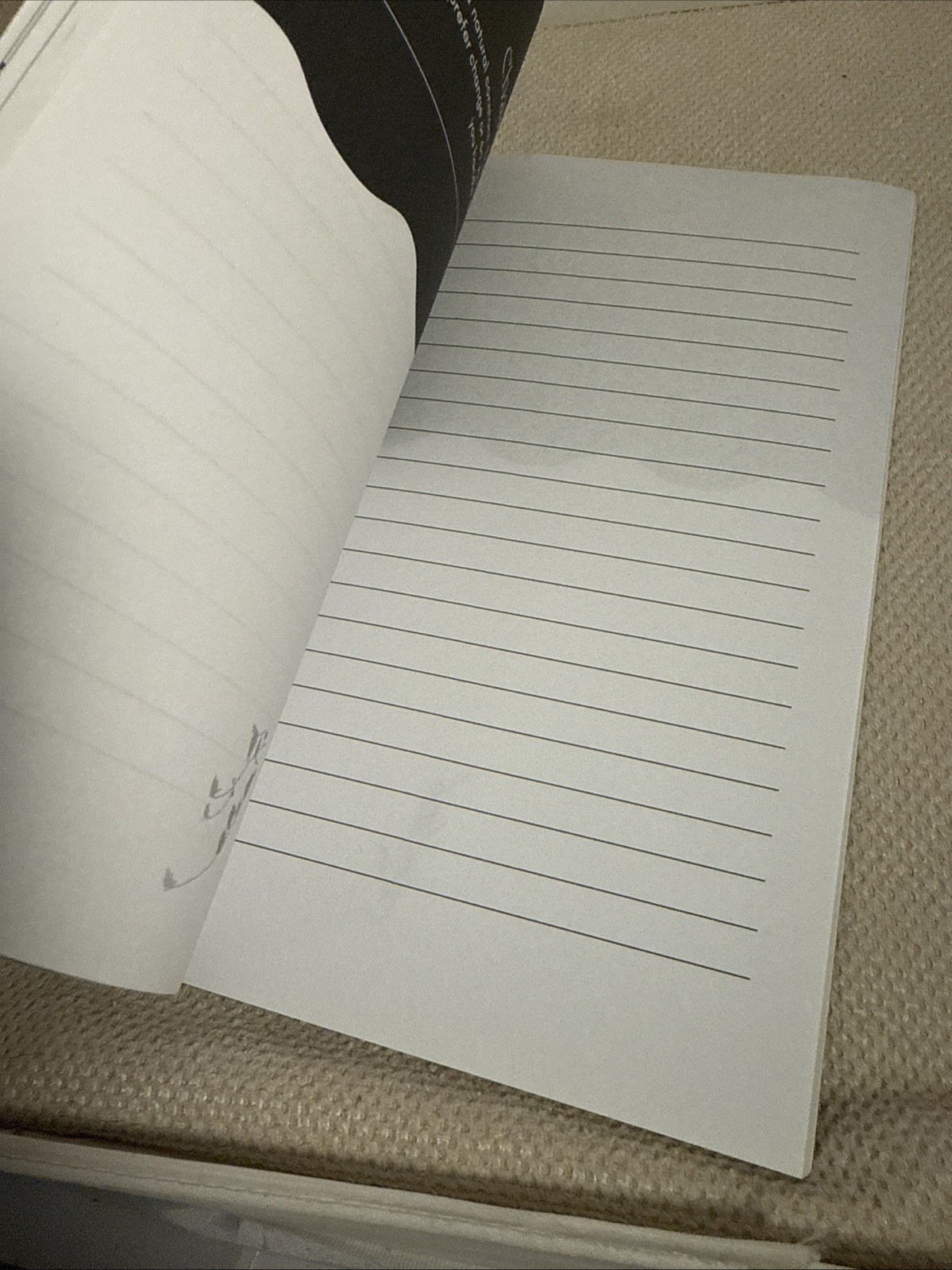 The Shadow Work Journal: a Guide to Integrate and Transcend Your Shadows