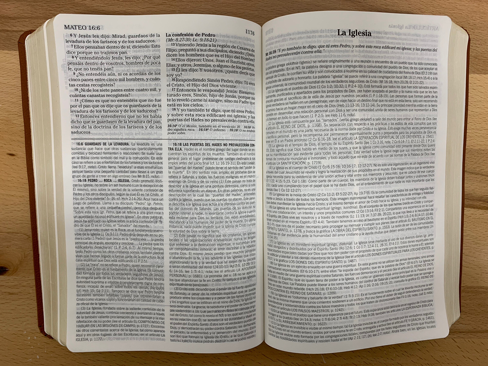 BIBLIA DE ESTUDIO DE LA VIDA PLENA PARA JOVENES, REINA VALERA 1960, PIEL CAFE