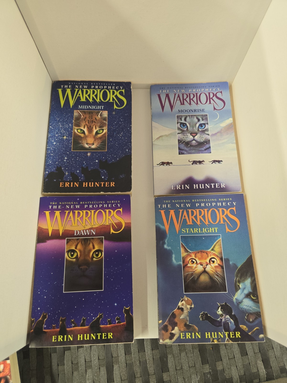 Warriors Cat Novels Lot of 12 Books Erin Hunter Sunrise Starlight Dawn Destiny