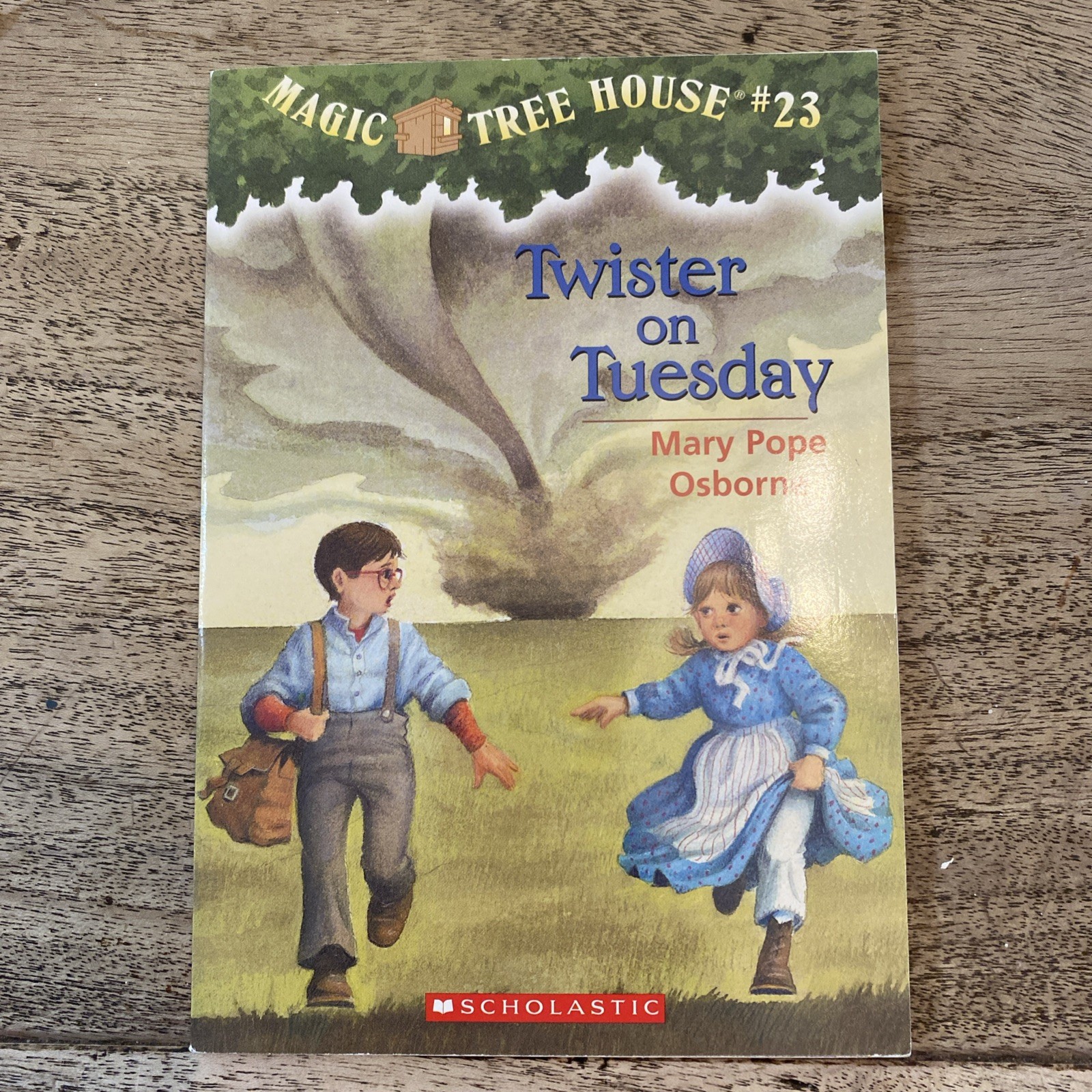 LOT OF 8 MAGIC TREE HOUSE BOOKS MARY POPE OSBORNE PAPERBACKS 18-25