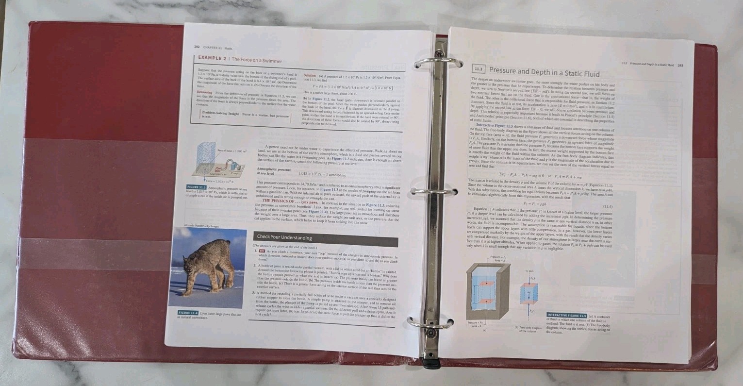 CUTNELL & JOHNSON PHYSICS 11TH.ED. BY Young Looseleaf Edition