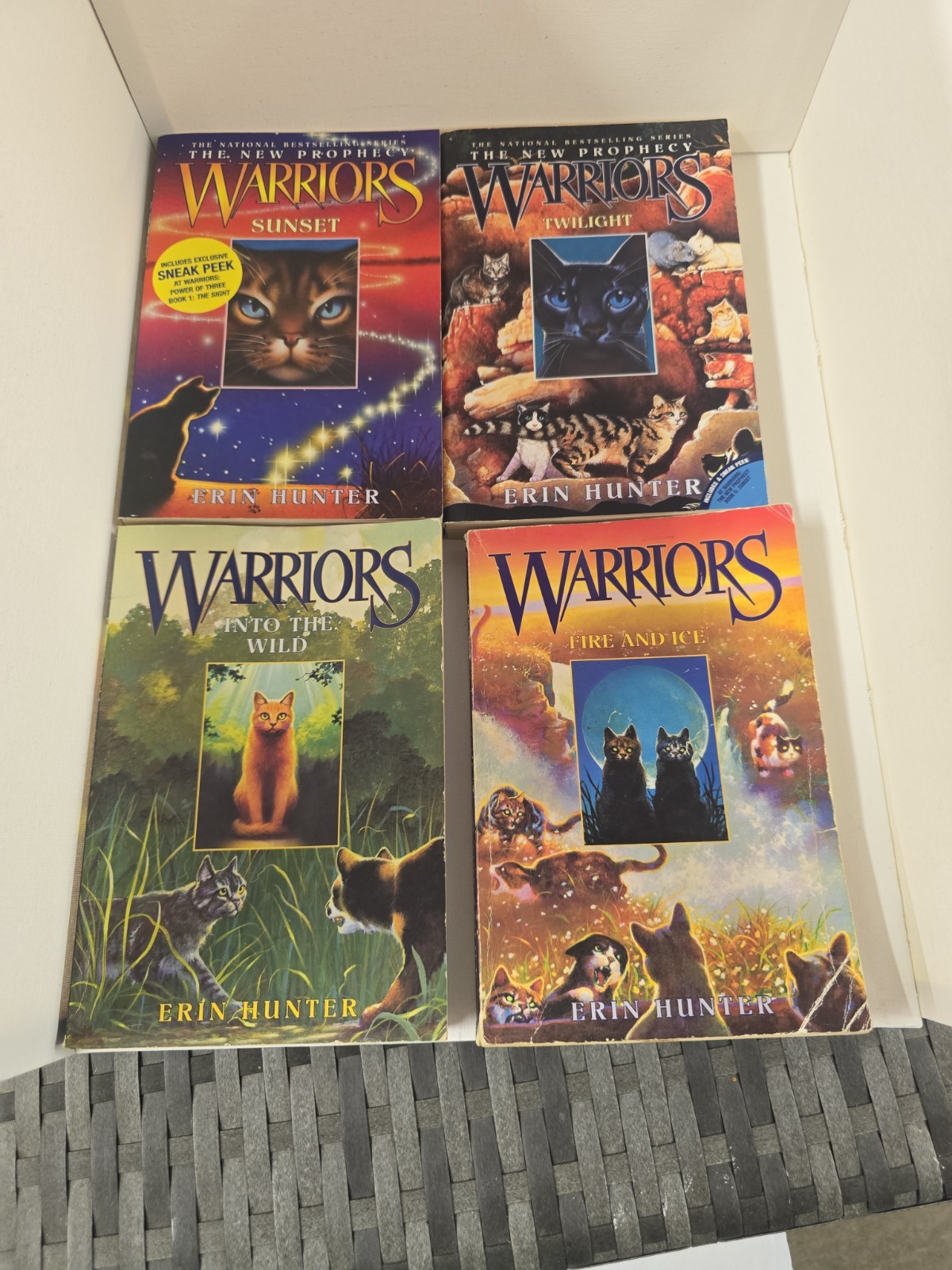 Warriors Cat Novels Lot of 12 Books Erin Hunter Sunrise Starlight Dawn Destiny