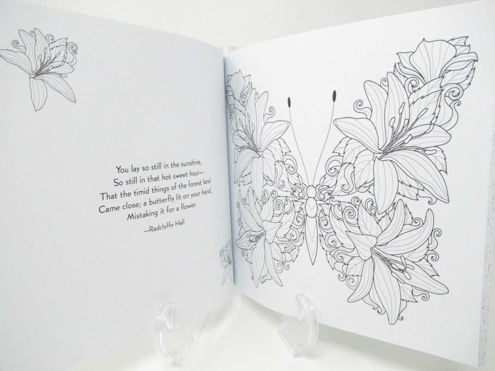 Adult Coloring Book Cottage Garden Floral 80+pages intricate designs patterns