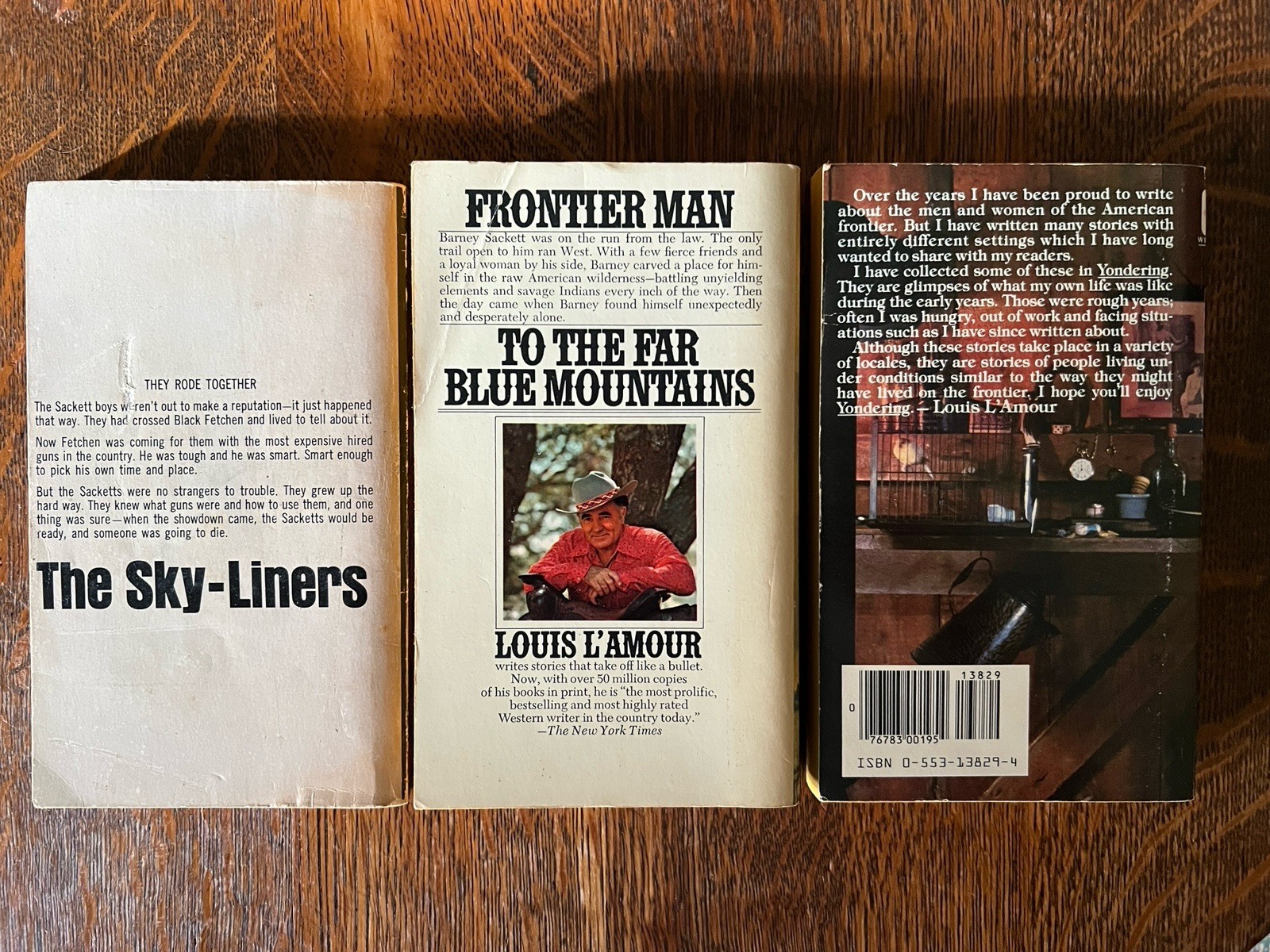 Vintage WESTERN PB Book Lot of 10 L’Amour Rigoni Elston Brand Patten Browne VG++
