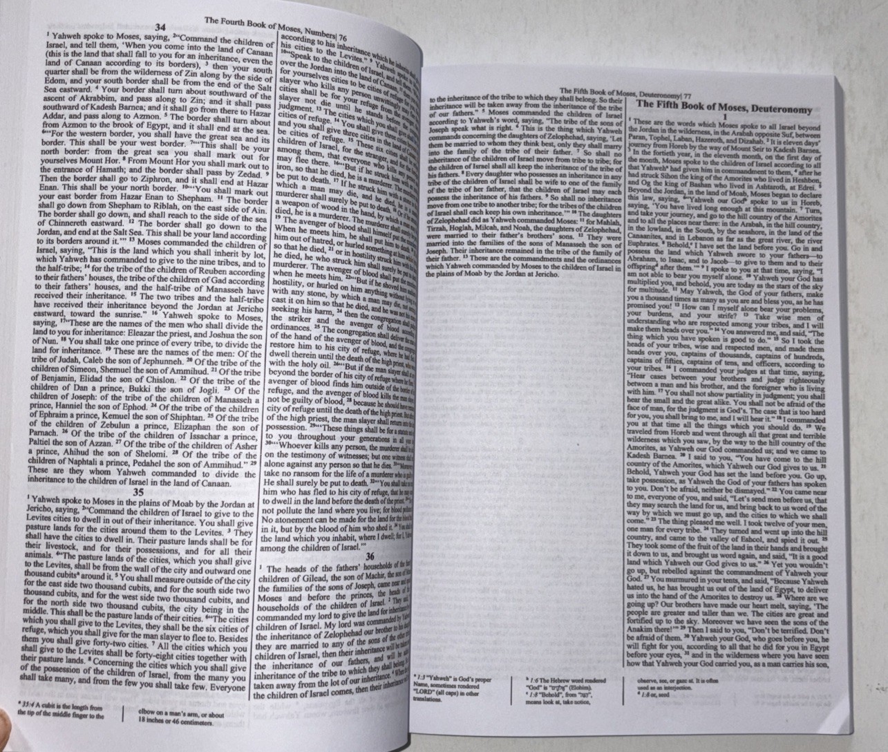 African Ethiopia Bible