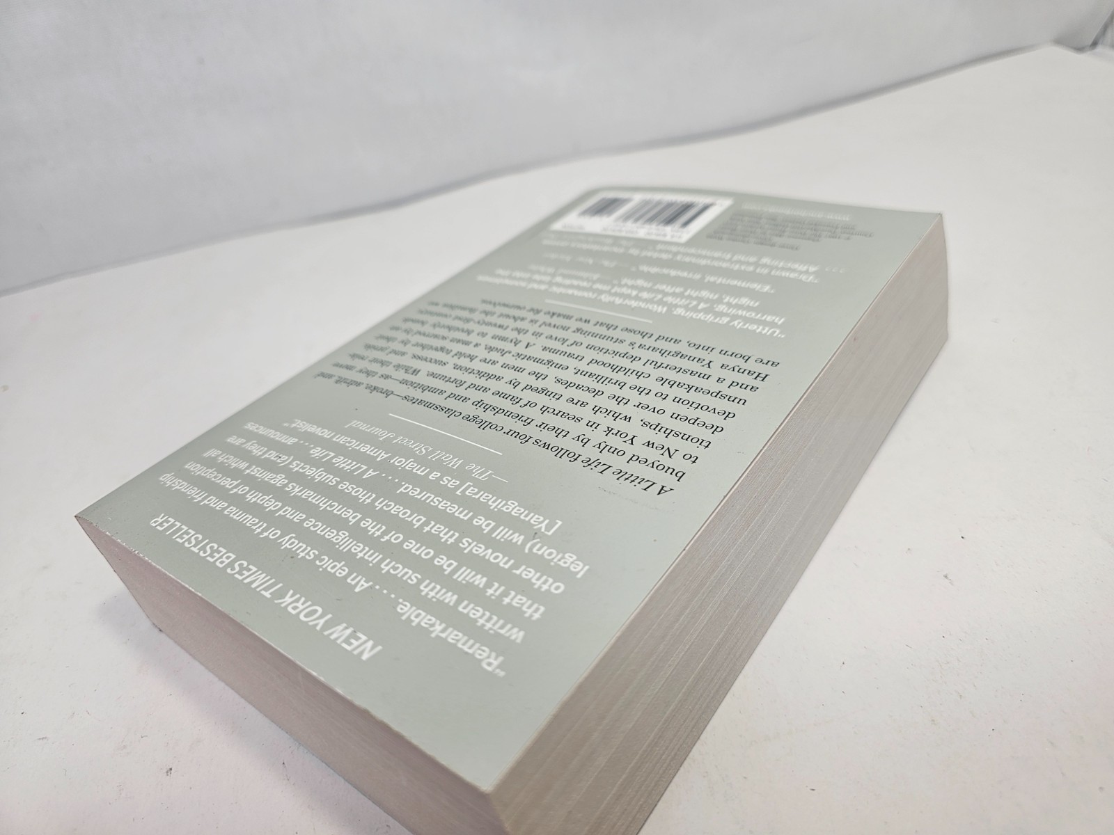 A Little Life Hanya Yanagihara Trade Paperback Novel 2016 Anchor Books Fiction
