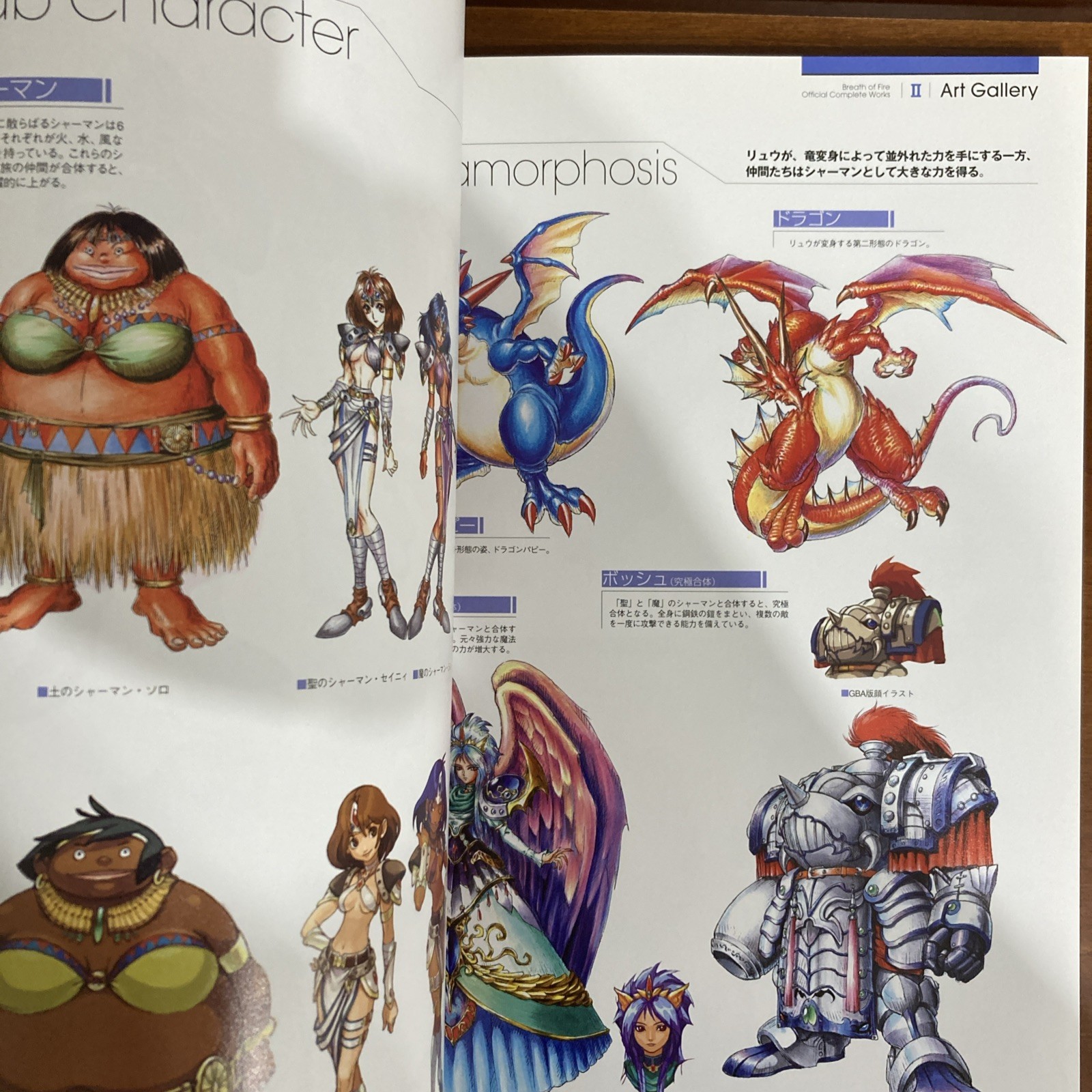 Breath Of Fire Official Complete Works Art Book Capcom Illustration