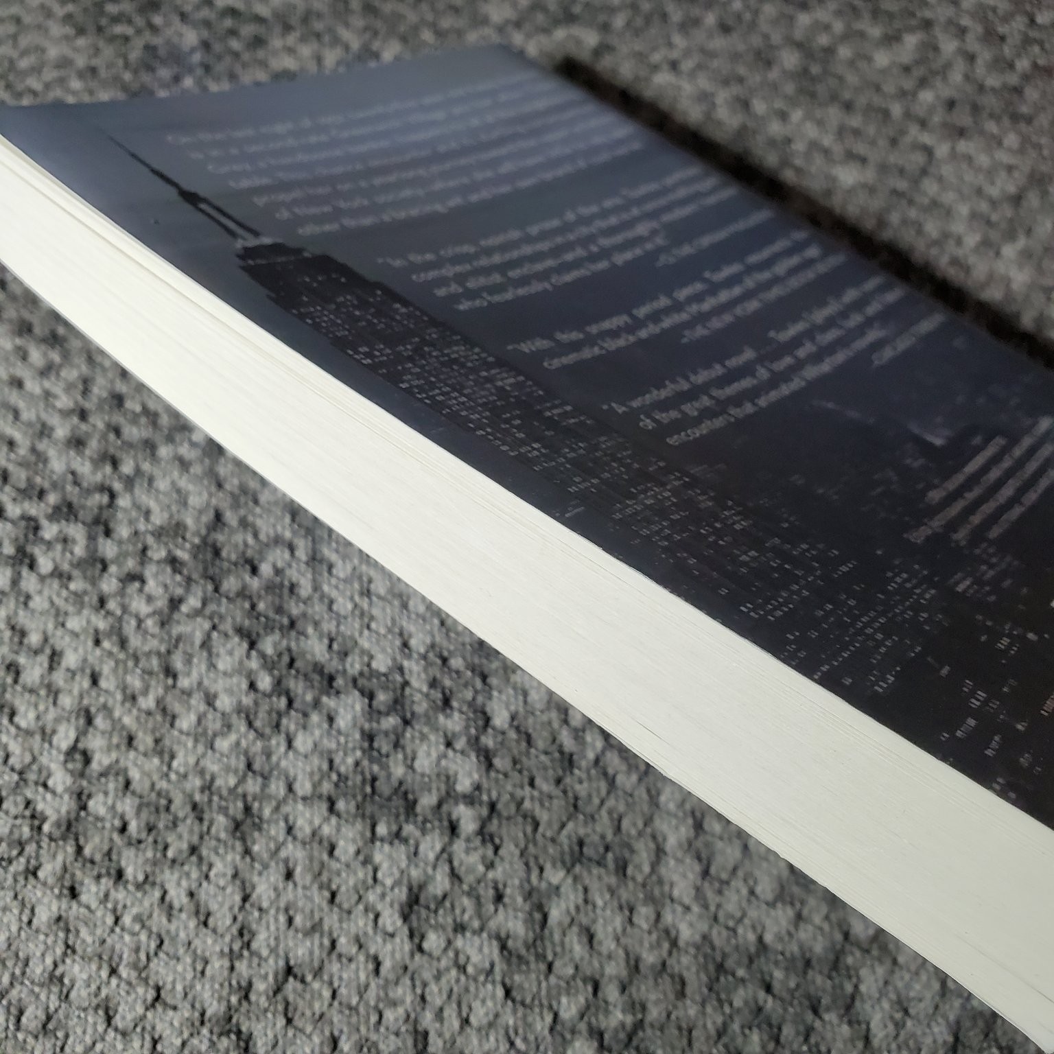 Rules of Civility Amor Towles 2011 Fiction Novel Penguin Books