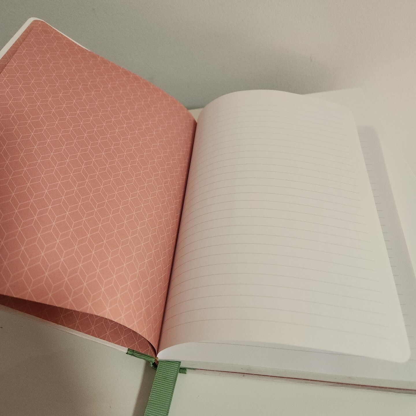FRINGE STUDIO Chihuahua Hardcover Ribbon Journal, 6 x 8.25 Inches, 160 Lined Pg