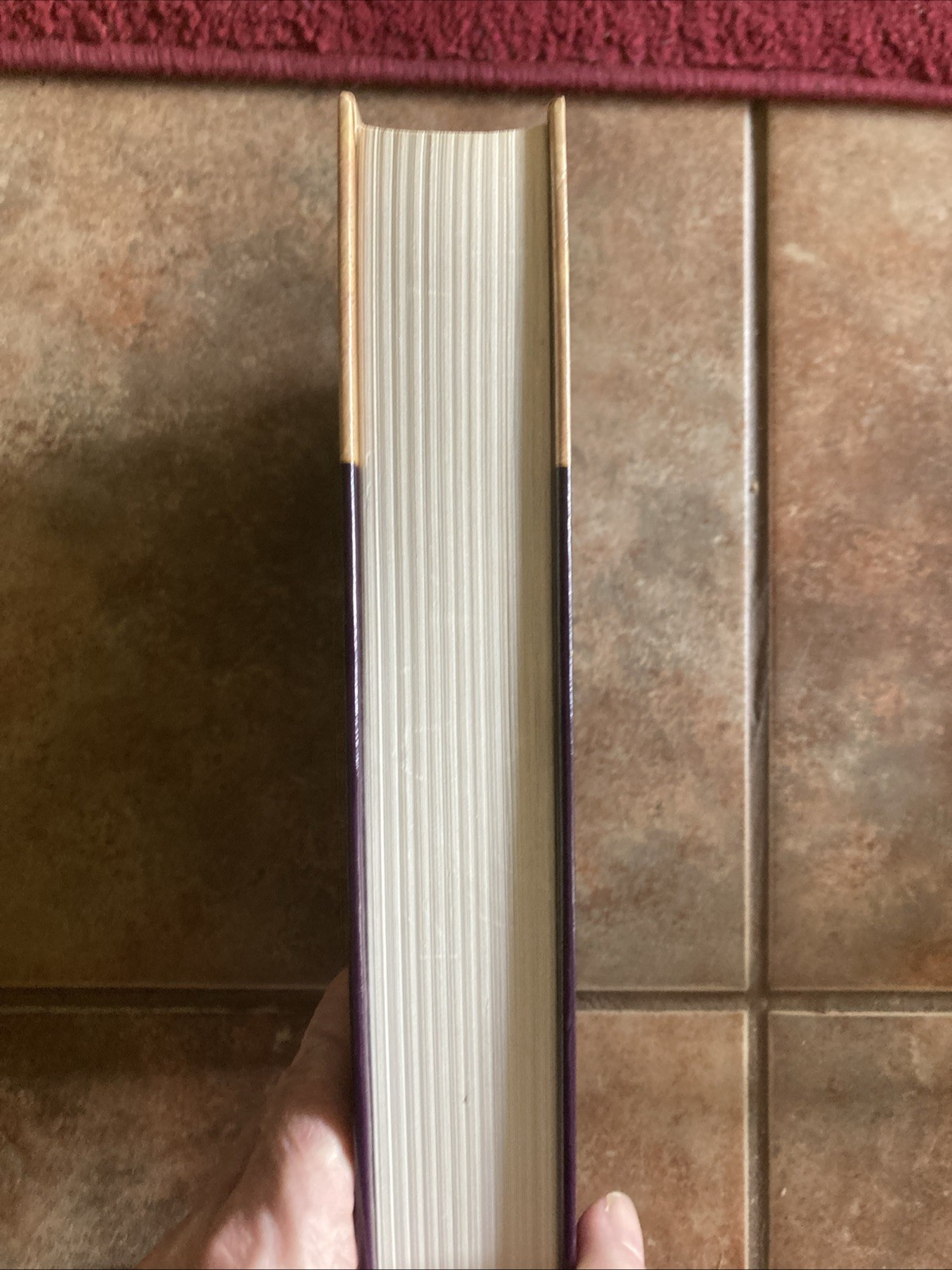 The Inspirational Bible [New Century Version, The Everyday Bible]