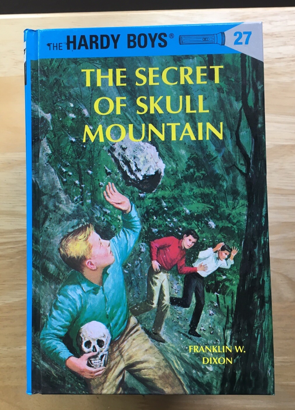 The Hardy Boys Ser.: Hardy Boys See Picture For Title: 1,2,5,20,25,26,27,28,58HB