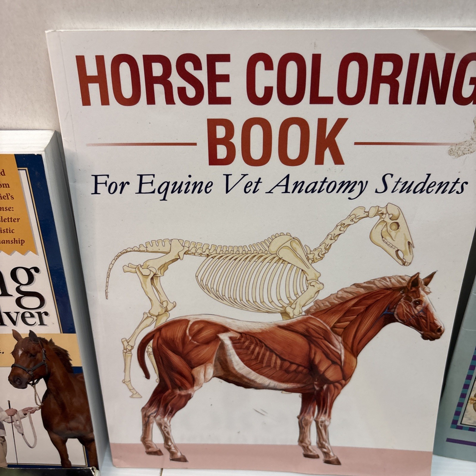 Lot of 12 Horse Books Equine Riding Training Polo Equestrian Care Health Color