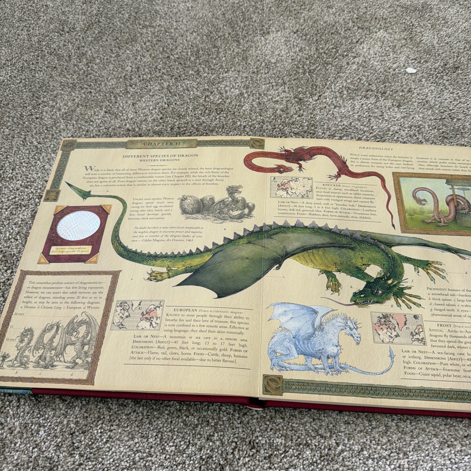 Ologies Ser.: Dragonology : The Complete Book of Dragons by Ernest Drake (2003,