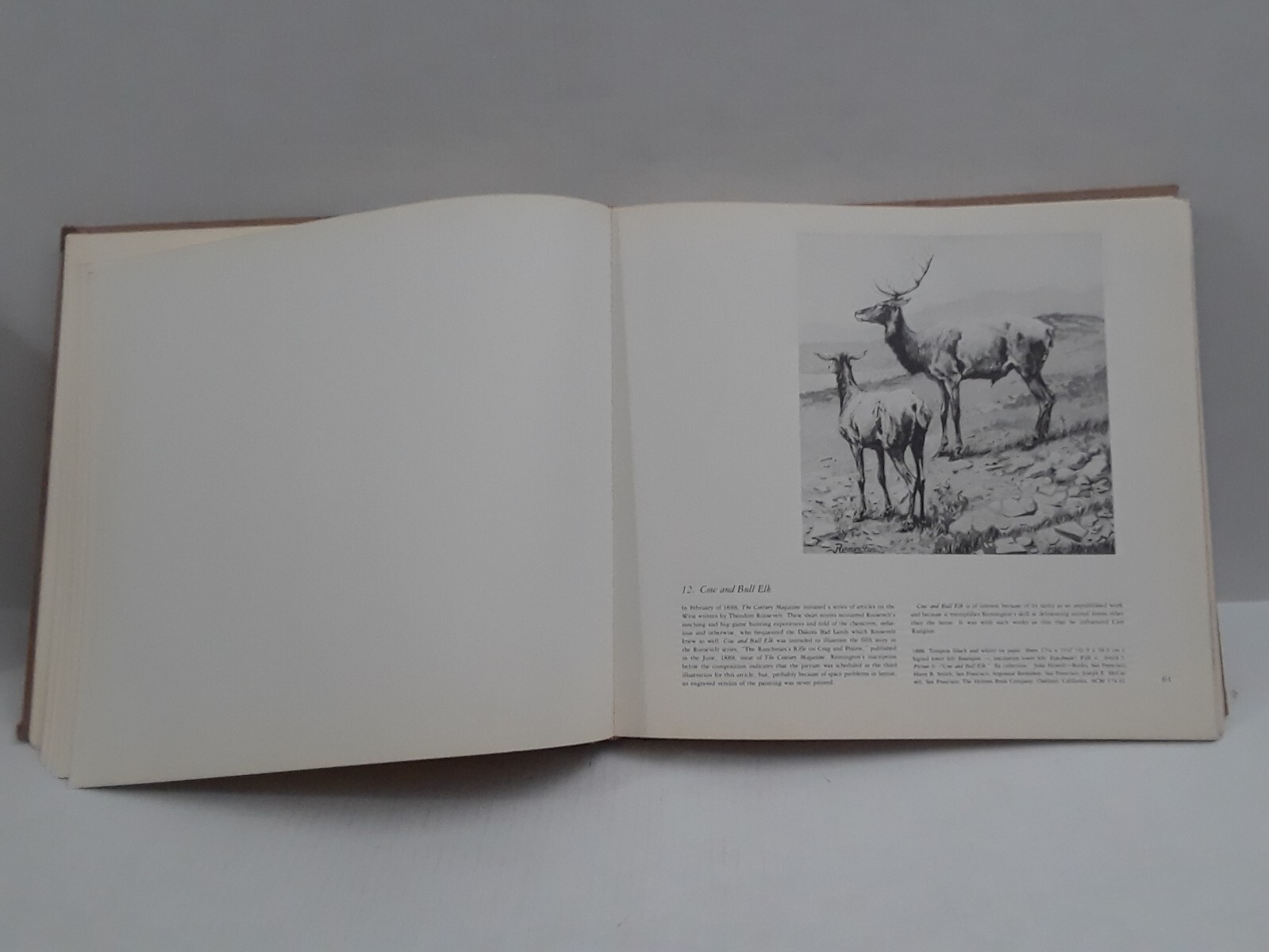 FREDERICK REMINGTON by Peter Hassrick 1973 HC Illustrated 13.5 x 12.25 in