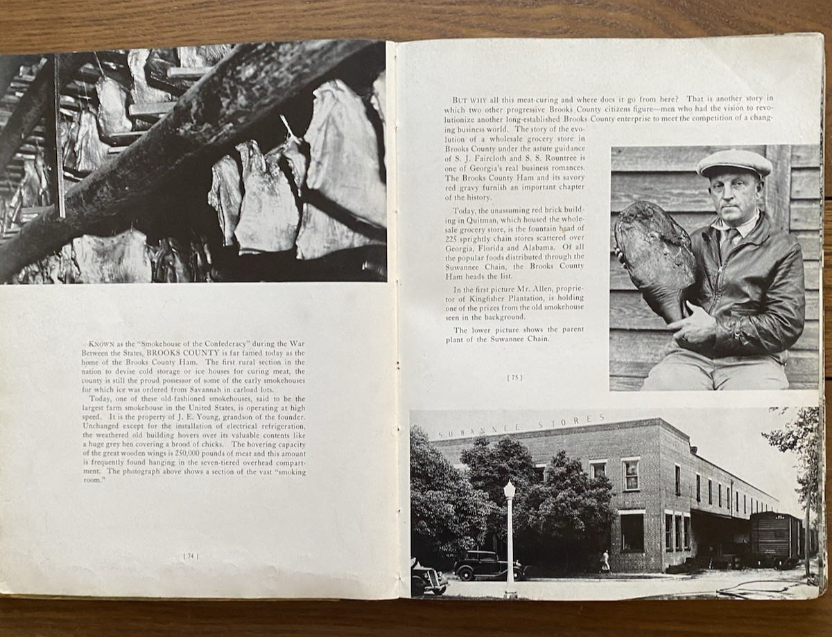 Empire Georgia Today in Pictures and Paragraphs 1936 First Edition HC