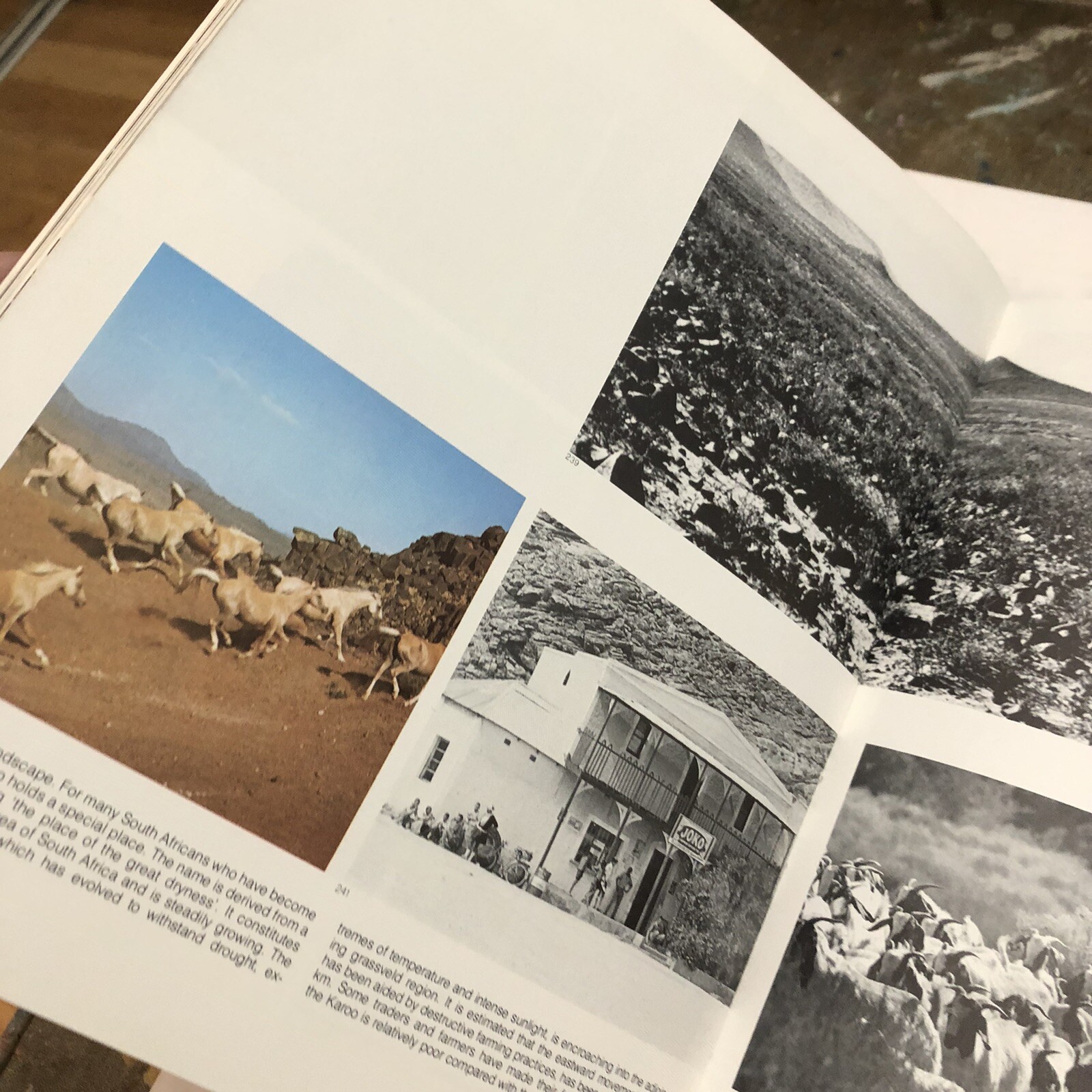 South Africa Hard Cover Book W/ Dust Jacket Gerald Cubit Arnold Helfet 208 Pages