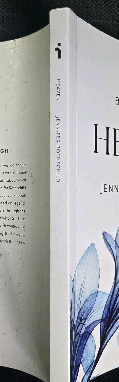 When Faith Becomes Sight: Heaven Jennifer Rothschild Bible Study Book Paperbook