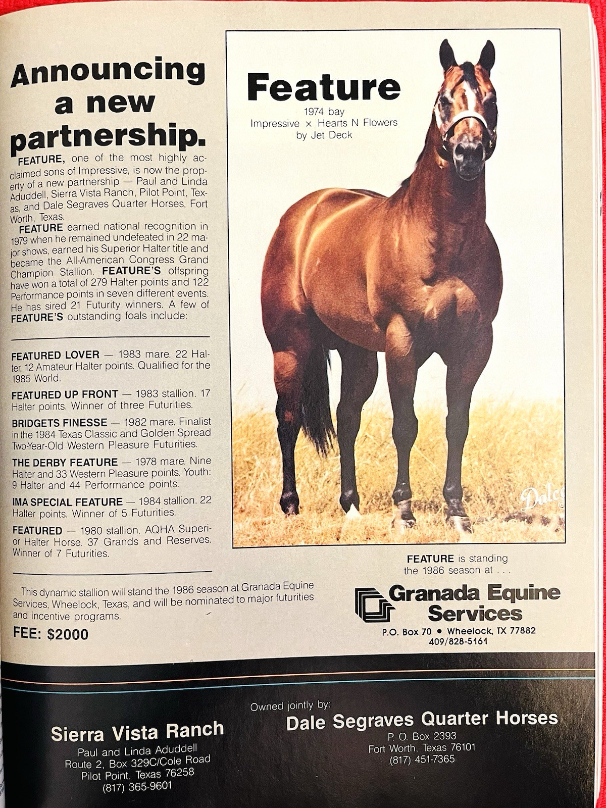 SALE ENDS 6/15! 1986 QUARTER HORSE JOURNAL Book – DYNAMIC DELUXE, ZAN PARR BAR