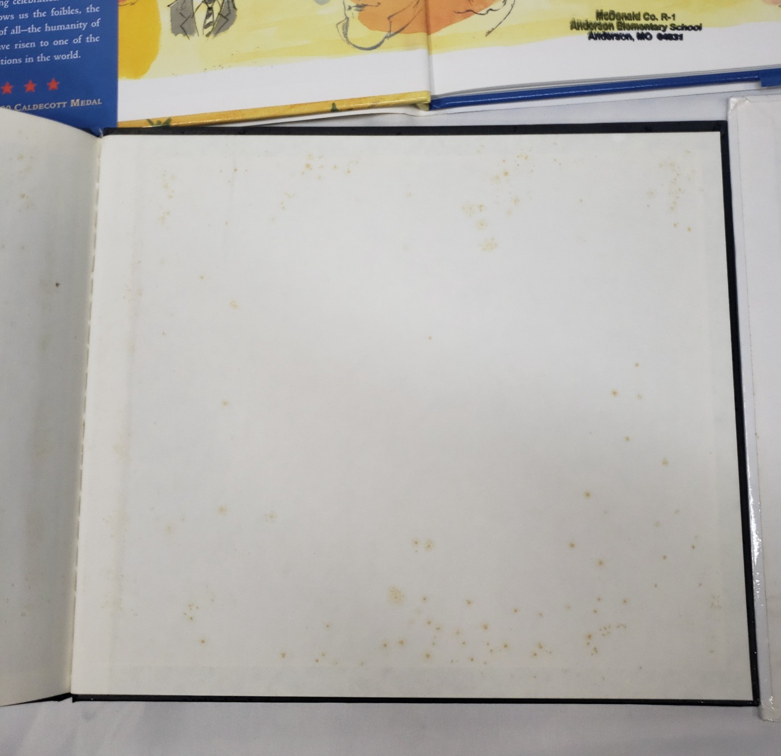 Caldecott Kids Picture Books Lot 10 Homeschool Classroom Library Award Winners