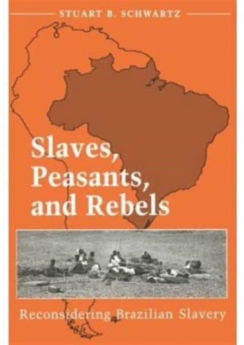 Slaves, Peasants, and Rebels : Reconsidering Brazilian Slavery Pa