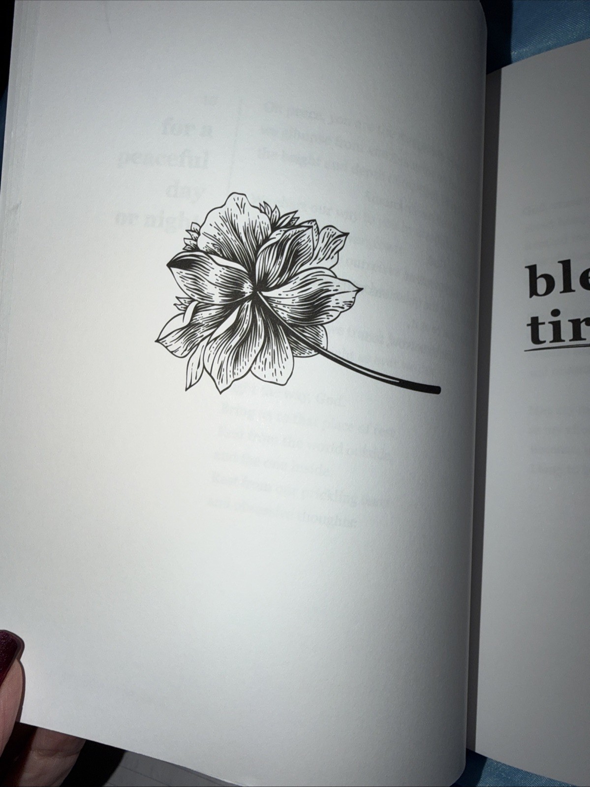 Lives We Actually Have | 100 Blessings for Imperfect Days | by Kate Bowler | HC