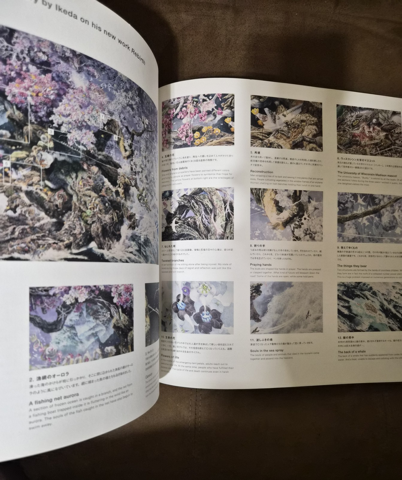 The Pen Manabu Ikeda Japanese Art Book 2017 Technical Pen Painting Japan