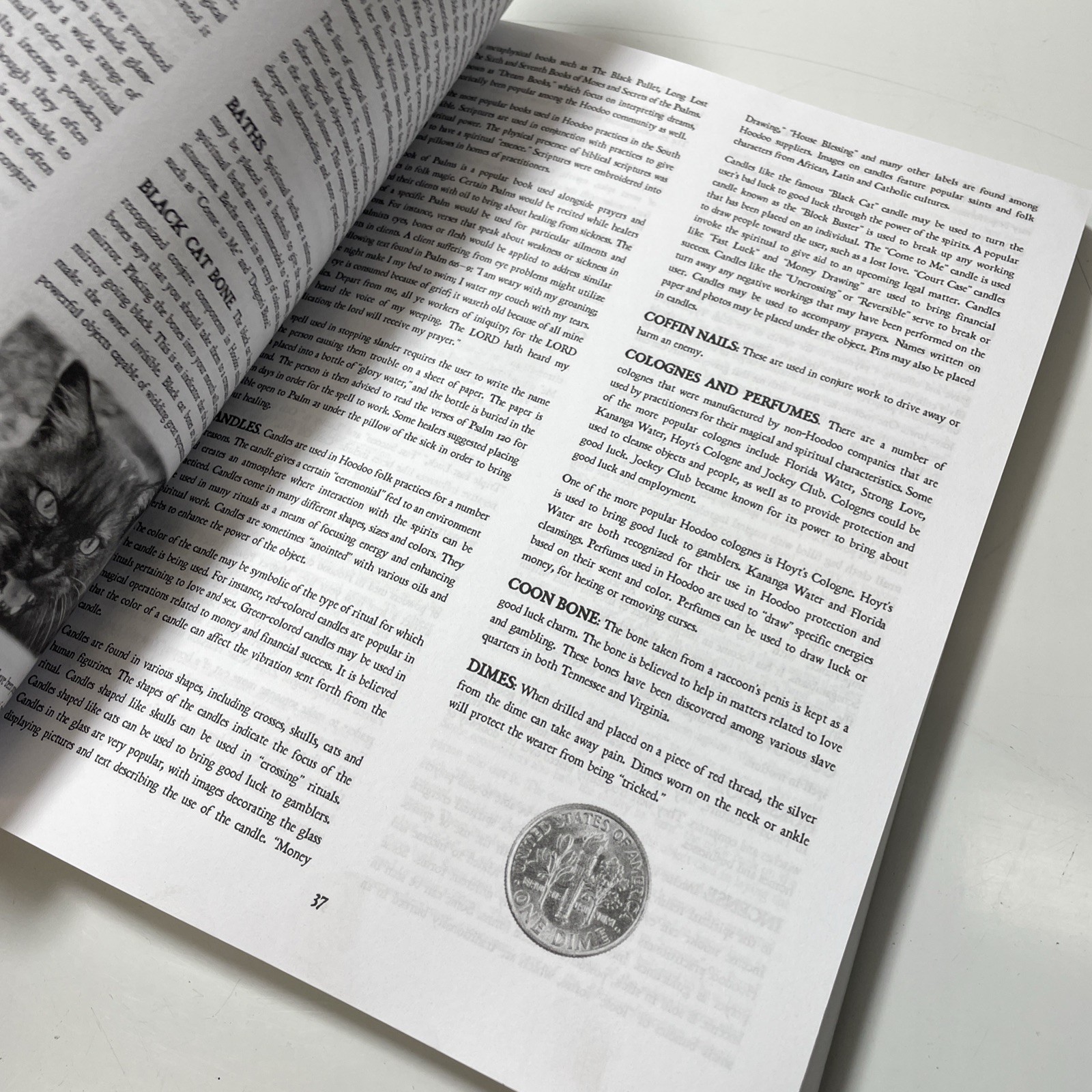 The Hoodoo Bible: 7-in-1 Root Doctor’s Companion to Black Folk (x5)