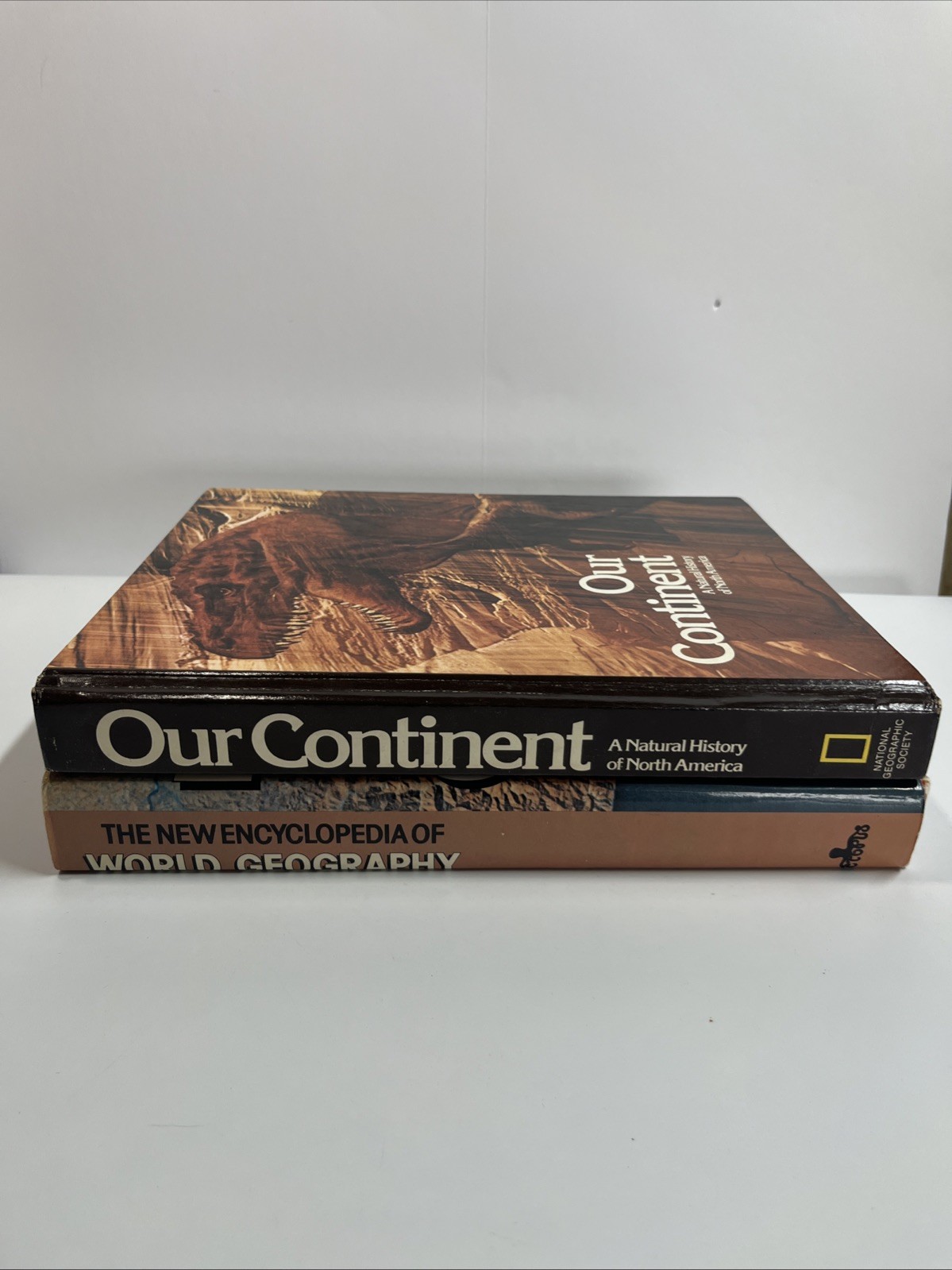 NATURAL SCIENCE LIBRARY: OUR CONTINENT: 1976, World Geography Encyclopedia 1976