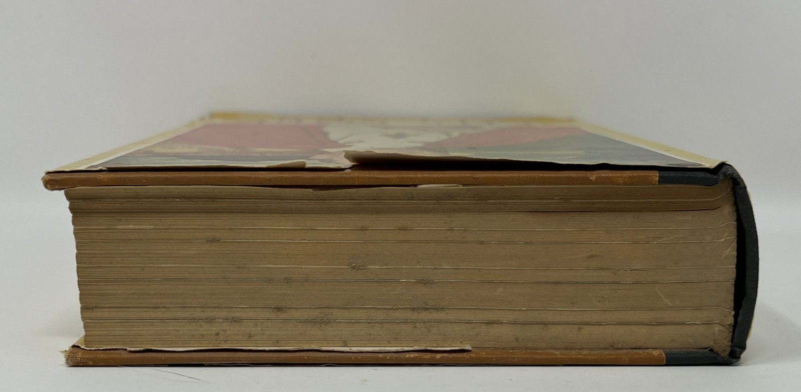 VTG The Pope Speaks: The Teachings of Pope Pius XII – 1957 HC/DJ Pantheon Books