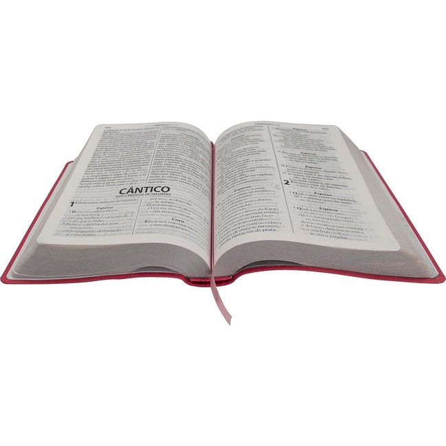 Biblia Sagrada: ARA – Capa: Flexivel em Couro – Letra: Gigante (Portugues)