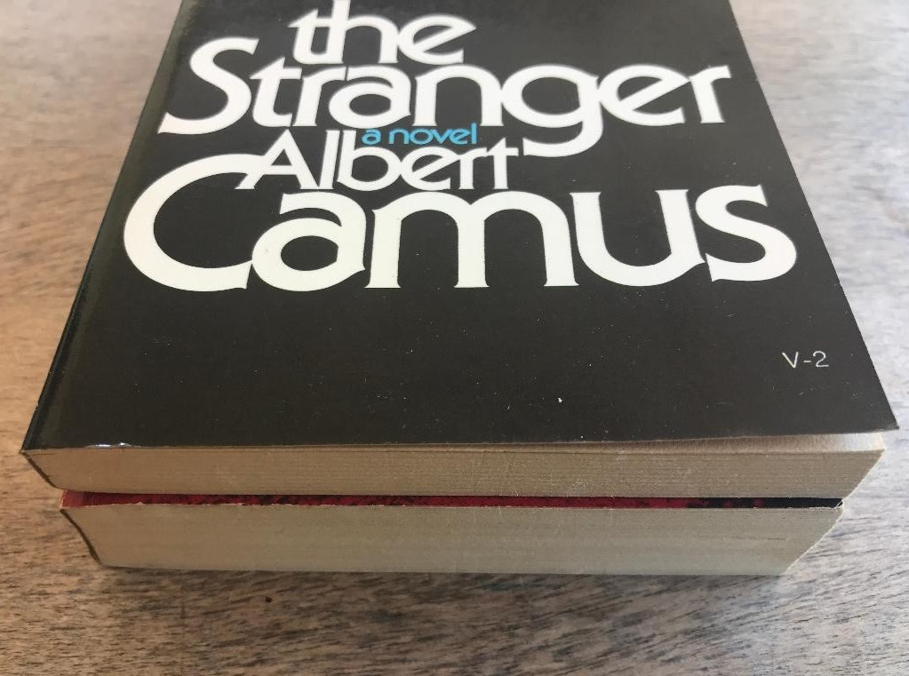 2 ALBERT CAMUS NOVELS ~ THE PLAGUE & THE STRANGER ~ MAN’S STRUGGLES WITH MANKIND