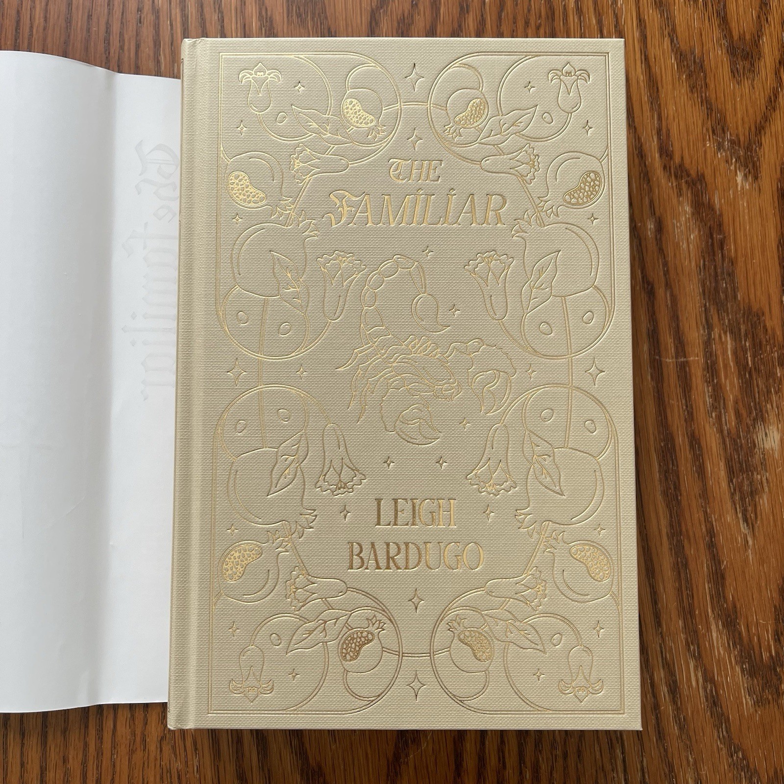 Fairyloot The Familiar Leigh Bardugo