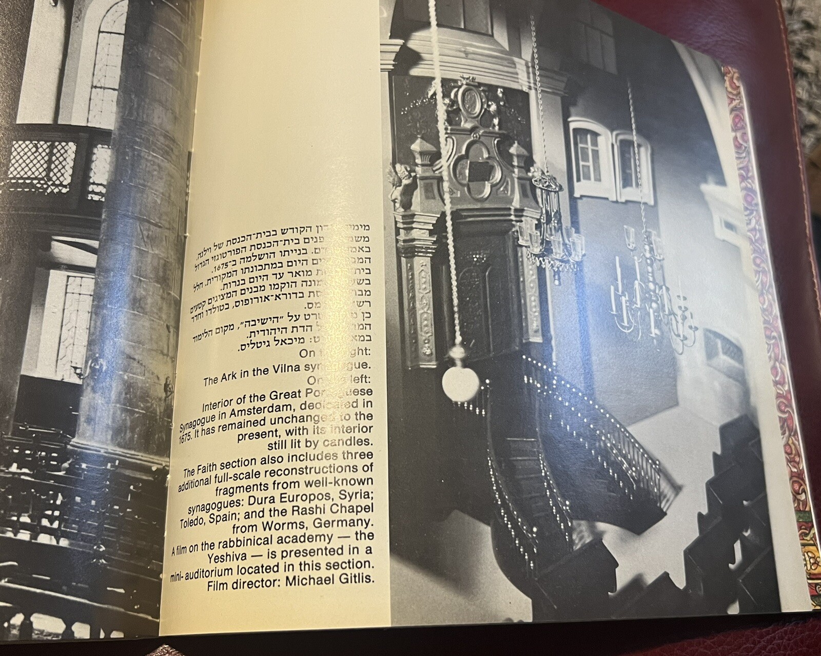 BETH HATEFUTSOTH: MUSEUM OF THE JEWISH DIASPORA [Paperback]