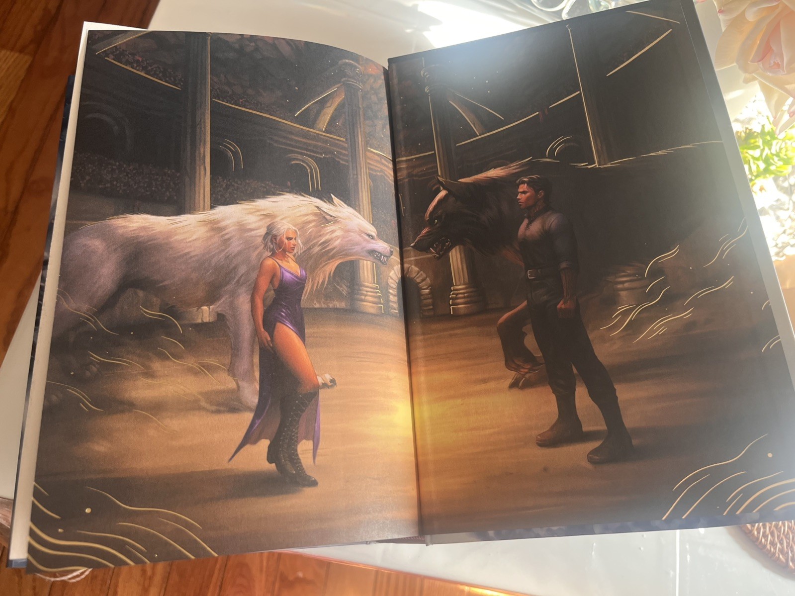 Dire Bound Fairyloot Special Edition